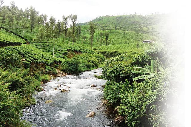 Valparai