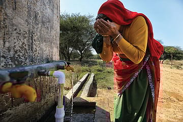 Can Moringa Seeds Make Drinking Water Safer? Study Explains 