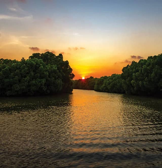 Pitchvaram, Cuddlore
