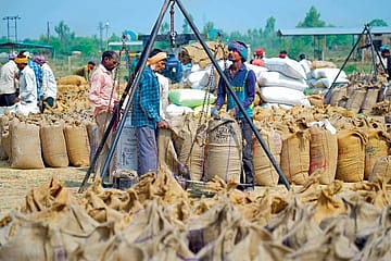 Why Trump’s Iran Trade Warning Worries Indian Rice Exporters
