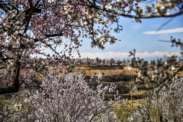 Colours in the Valley