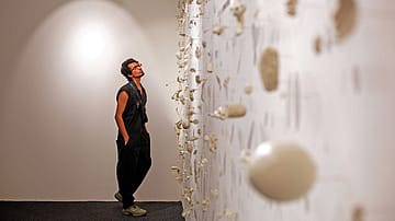 Making Life Out of Ruins