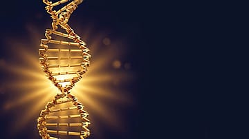 The Art of Affluence