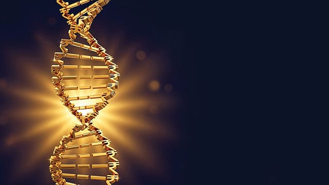 The Art of Affluence The Art of Affluence