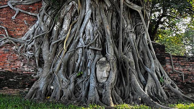 Faith Beyond Borders