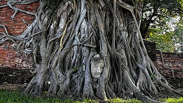 Faith Beyond Borders