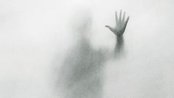 Book Review: Window With a Train Attached