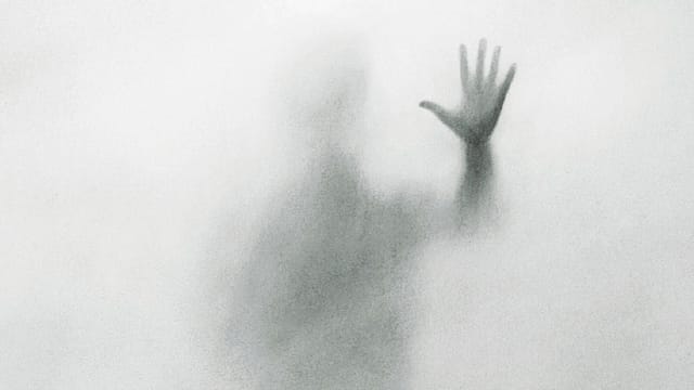 Book Review: Window With a Train Attached Book Review: Window With a Train Attached