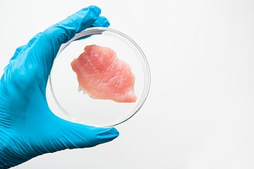 Lab-grown meat could soon be a reality in restaurants across India