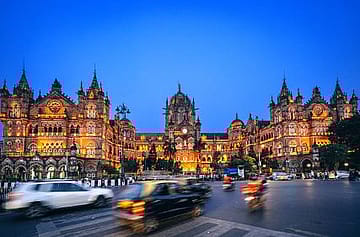 Still in the Game: How creativity flowed in a watering hole
