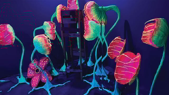 Kochi-Muziris Biennale: Being Amazed Kochi-Muziris Biennale: Being Amazed