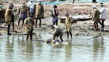 In two decades, India has learnt to detect tsunamis before they strike