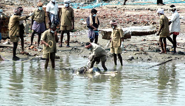In two decades, India has learnt to detect tsunamis before they strike In two decades, India has learnt to detect tsunamis before they strike