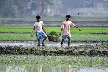 Union Budget 2026 push for MSMEs aims to boost informal sector incomes, rural demand