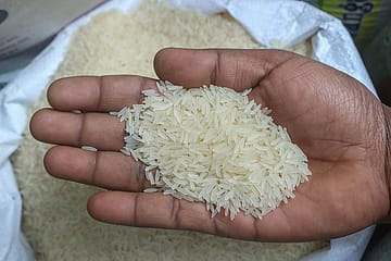 India–US Tariff Cut to Restore Price Parity for Indian Rice Exports: IREF