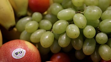 Explained: Why India’s BIOFACH Spotlight Matters After EU Trade Talks