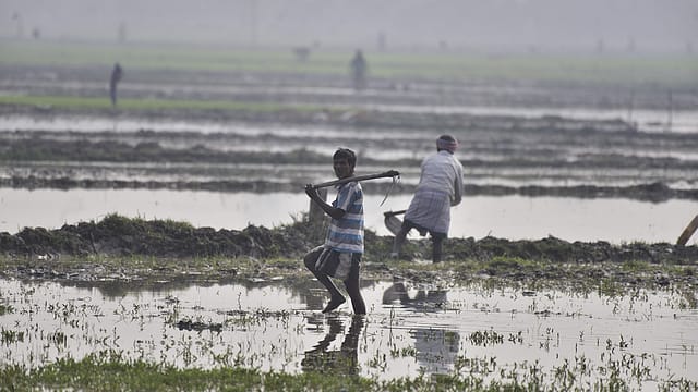 Bharat-VISTAAR Explained: How the Government’s AI Tool Will Support Farmers