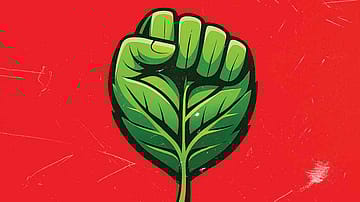 No to Doctrinaire Environmentalism