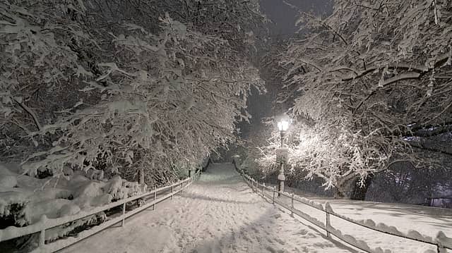 US Storm Chaos: Over 5,000 Flights Cancelled; New York Bans Non-Essential Travel