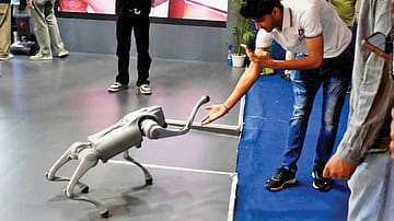 A Robotic Dog’s Life: Why are we allergic to fostering a culture of excellence?