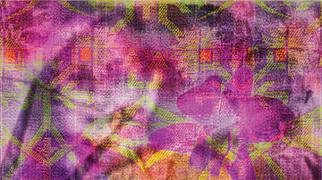 The Secret Lives of Saris