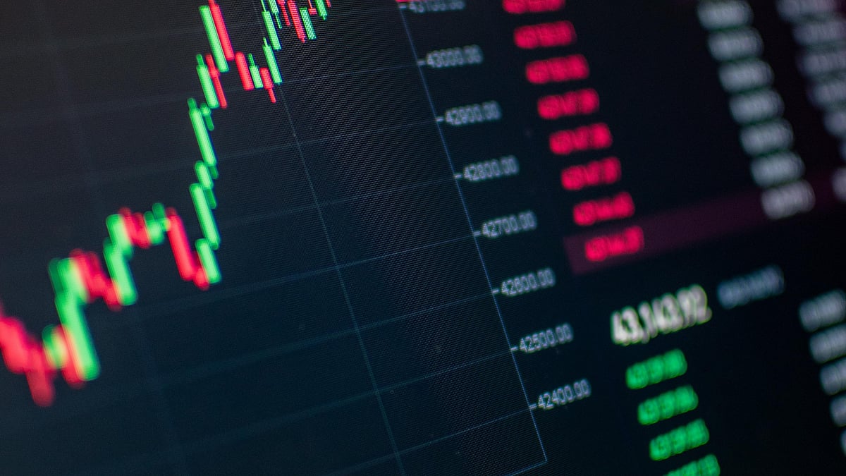 Large Caps Shine as Valuations Improve in Indian Markets: DSP Mutual Fund Report