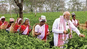 Assam Assembly Election 2026: Reading the Tea Leaves