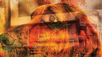 Return to an Absence: Companionship is not about filling space