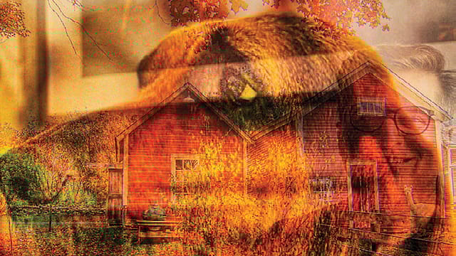 Return to an Absence: Companionship is not about filling space Return to an Absence: Companionship is not about filling space