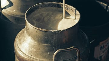 Milk Supply Across India Stable Despite West Asia Crisis, Govt Assures