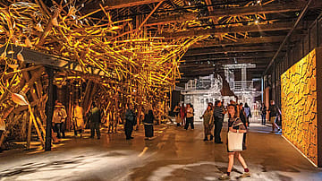 Soft Power and Glory: Behold: India showcases its soul at the Venice Biennale