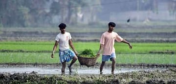 Maharashtra’s Loan Waiver Makes Default A Rational Choice