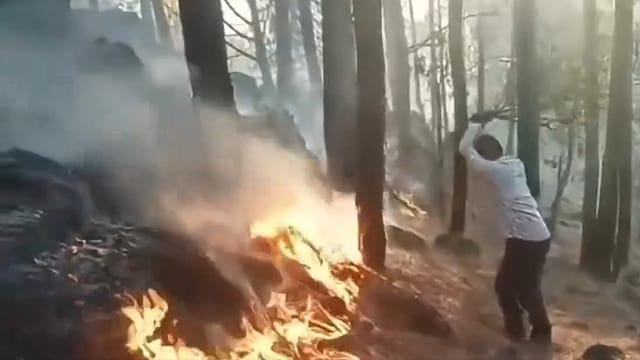 Watch | Massive Forest Fire Engulfs Multiple Areas in Rajouri, Firefighting Intensified Watch | Massive Forest Fire Engulfs Multiple Areas in Rajouri, Firefighting Intensified