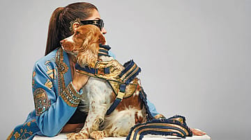 Animal Spirits: Inside the booming pets-propelled industry
