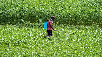Oil Price Spike Could Add Up to Rs 70,000 Crore to Fertiliser Subsidy Bill in FY27: Report