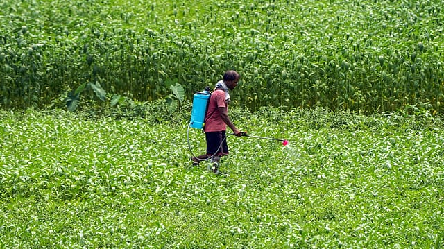 Oil Price Spike Could Add Up to Rs 70,000 Crore to Fertiliser Subsidy Bill in FY27: Report Oil Price Spike Could Add Up to Rs 70,000 Crore to Fertiliser Subsidy Bill in FY27: Report