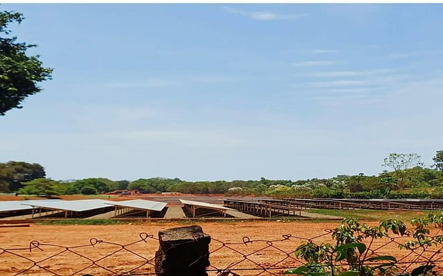 Auroville’s Hybrid Energy Experiment: Can Its Decentralised Renewable Model Work for the Rest of India?
Auroville’s Hybrid Energy Experiment: Can Its Decentralised Renewable Model Work for the Rest of India?