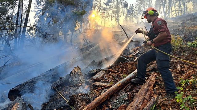 How a Fast-Moving Wildfire Emptied Two Canadian Towns Overnight  