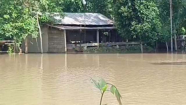 Assam Floods 2026: As the Dhansiri River Swells, Families Face an Impossible Choice 