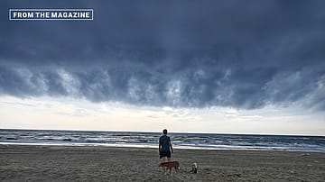 The Bundled Bargain: On dogs, borders, poor millionaires, and the difference between being free and being sold freedom