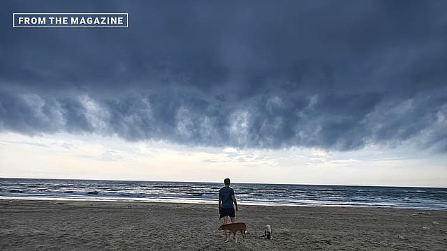 The Bundled Bargain: On dogs, borders, poor millionaires, and the difference between being free and being sold freedom The Bundled Bargain: On dogs, borders, poor millionaires, and the difference between being free and being sold freedom