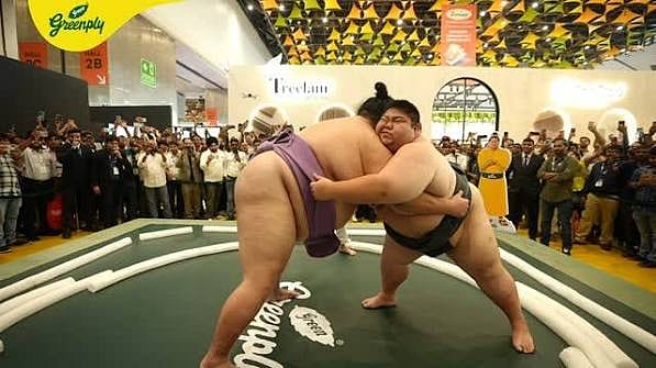 Put a Sumo on It: How Greenply Entered Advertising’s Product Torture Chamber Put a Sumo on It: How Greenply Entered Advertising’s Product Torture Chamber