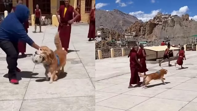 Dog joins monks for a football match in Spiti, and the internet can’t get enough