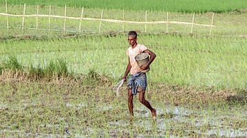 El Niño Is Not Just a Monsoon Problem. It Is a Whole-Economy Risk