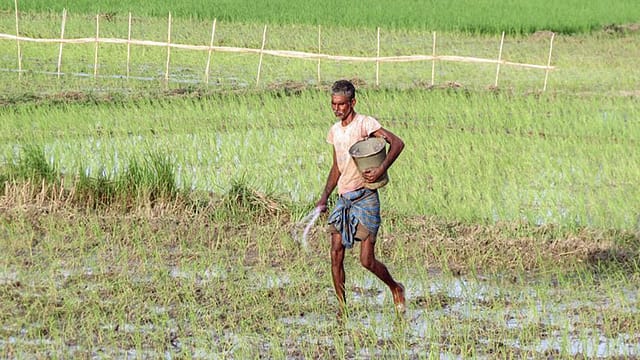 El Niño Is Not Just a Monsoon Problem. It Is a Whole-Economy Risk