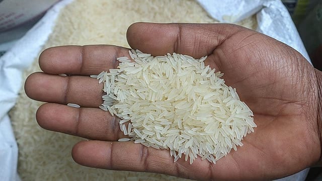 Beyond Basmati: What India’s 200-Variety Rice Showcase Wants to Achieve