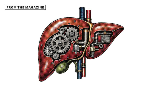 The Liver Supremacy