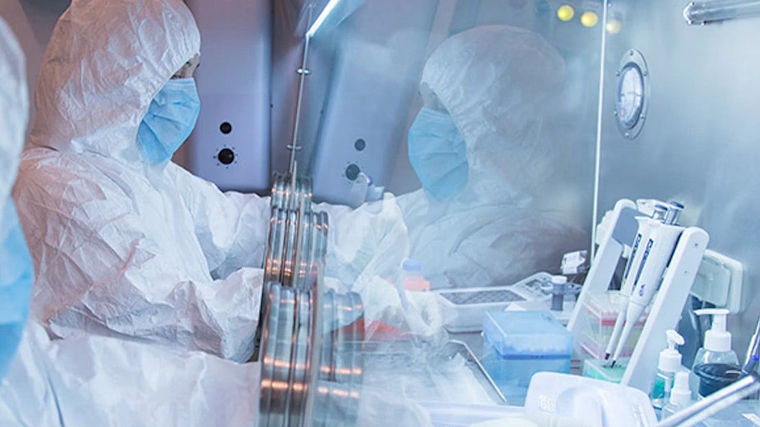 WHO Confirms No Plague Cases in Irkutsk After Lab Worker's Death