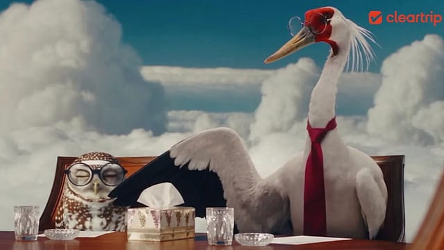 A brand judging human behaviour has to choose its words carefully. Give the observation feathers, and the customer may ask to see the film again A brand judging human behaviour has to choose its words carefully. Give the observation feathers, and the customer may ask to see the film again
