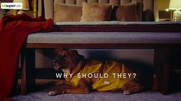 Supertails brings the pets back into the family’s Diwali—and pet care into the festive preparations. Essentials, pharmacy, grooming and consultations become part of making the celebration comfortable for everyone